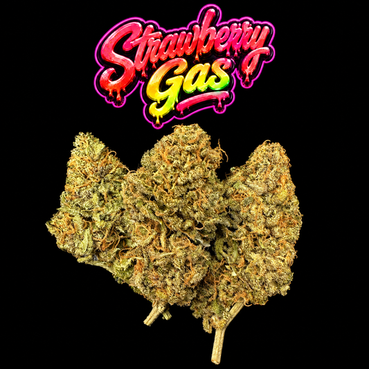 STRAWBERRY GAS - CANNAPACHE