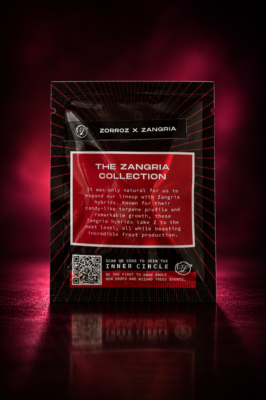 ZORROZ X ZANGRIA