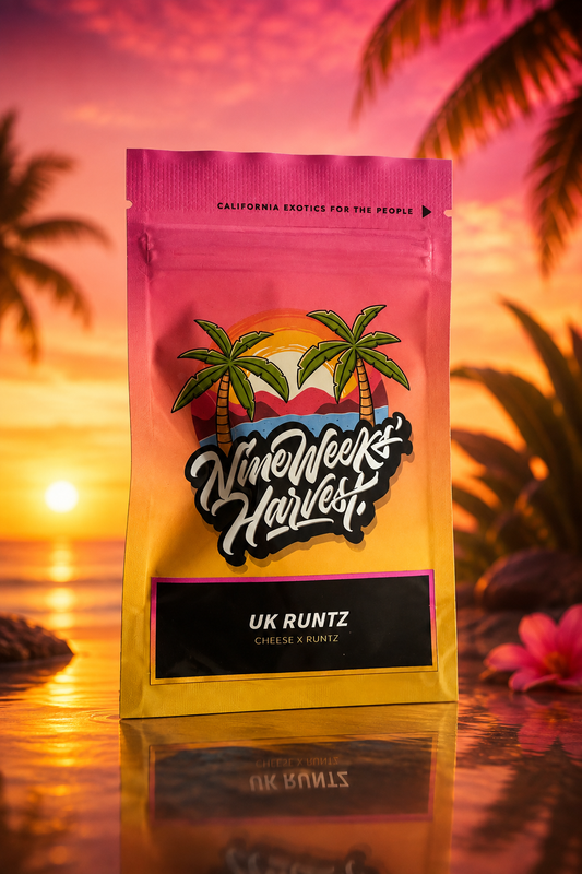 UK RUNTZ