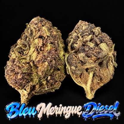 BLUE MERINGUE DIESEL — BUDCRAFT