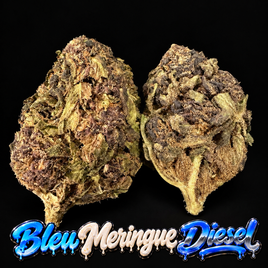 BLUE MERINGUE DIESEL — BUDCRAFT