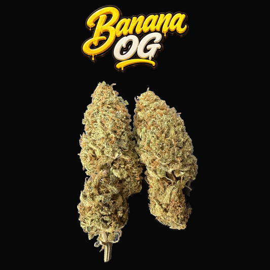 BANANA OG - CANNAPACHE