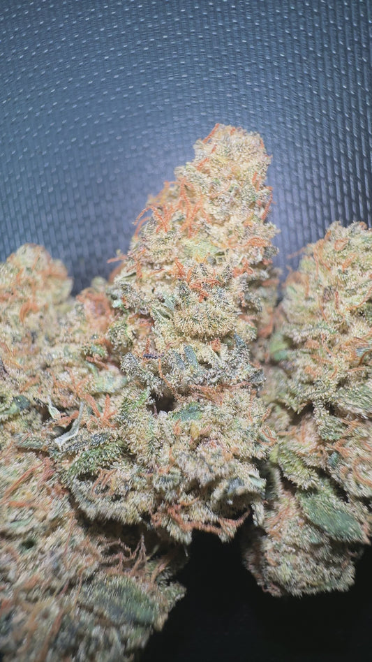 RAINBOW SHERBET - CANNAPACHE