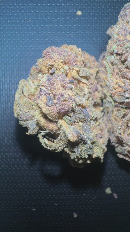 SAPHIR KUSH — BUDCRAFT