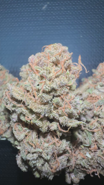 STRAWBERRY GAS - CANNAPACHE
