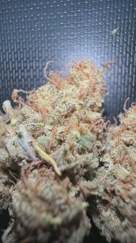 ACID OG - CANNAPACHE